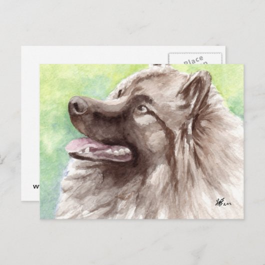 Cartes postales Keeshond (Devant / Derrière)
