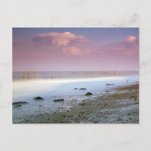 Cartes postales "La Côte Norfolk" (Devant)