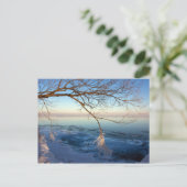 Cartes postales, Lac Ontario, Froid glacé. (Debout devant)