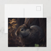 Cartes Postales Lapin (Devant / Derrière)