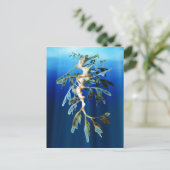 Cartes postales Leafy Sea Dragon (Debout devant)