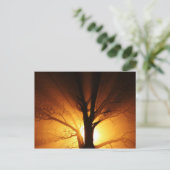 Cartes Postales Lumière (Debout devant)