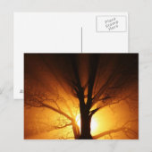 Cartes Postales Lumière (Devant / Derrière)