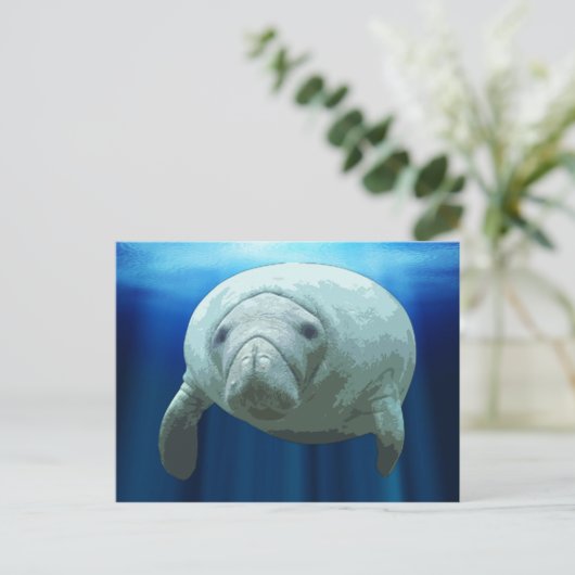 Cartes postales Manatee (Debout devant)