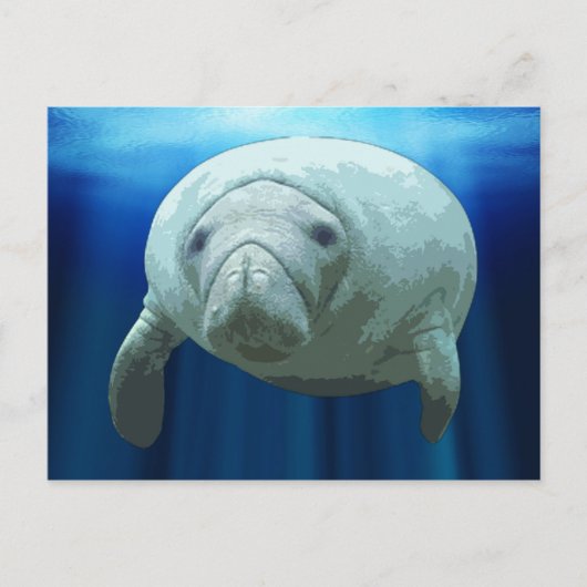 Cartes postales Manatee (Devant)