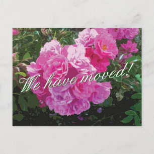 Cartes postales mignonnes en mouvement avec fleurs