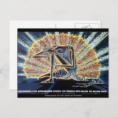 Cartes postales - Moses & Burning Bush (Devant / Derrière)