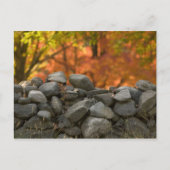 CARTES POSTALES MUR EN PIERRE (Devant)