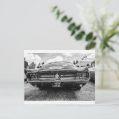 Cartes postales "Mustang classique" (Debout devant)