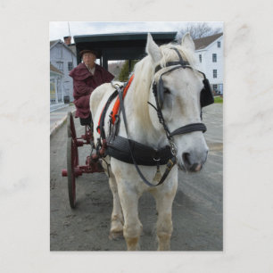 Cartes postales Mystic Horse