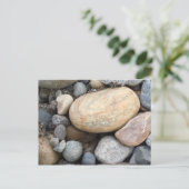 Cartes postales Nature (Debout devant)