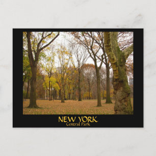 Cartes postales New York Cartes postales NYC Centr