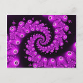 Cartes postales Octopus (Devant)