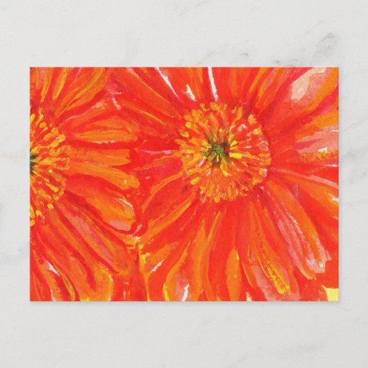 Cartes postales Orange Gerber (Devant)