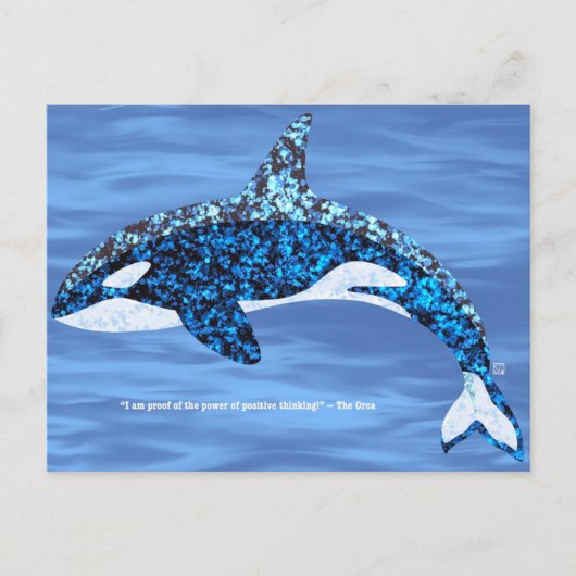 Cartes postales Orca Pensée Positive (Devant)