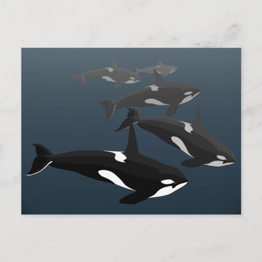 Cartes postales Orca Whale Custom Killer Whale Car (Devant)