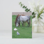 Cartes postales Passion #1 (Debout devant)
