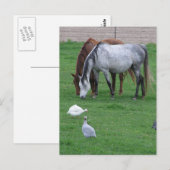 Cartes postales Passion #1 (Devant / Derrière)