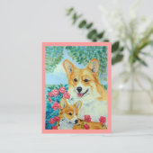 Cartes postales Pembroke Welsh Corgi (Debout devant)