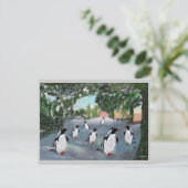 Cartes postales Penguin Winterwonland (Debout devant)