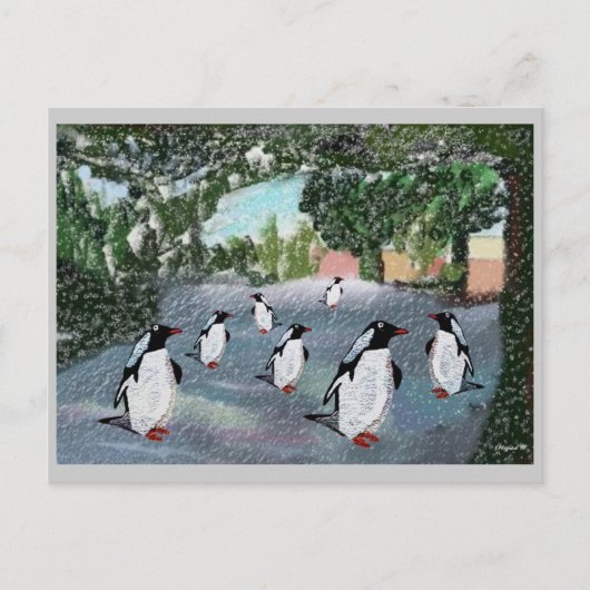 Cartes postales Penguin Winterwonland (Devant)
