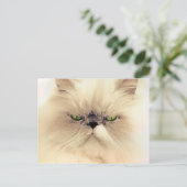 Cartes postales Perse (Debout devant)