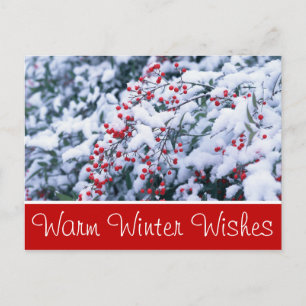 Cartes postales personnalisables Couvert De Neige