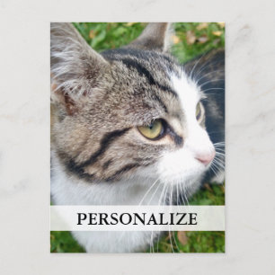 Cartes postales personnalisées   Ajouter votre ima