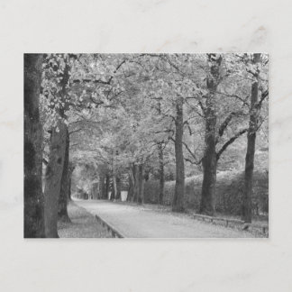 Cartes postales personnalisées "Archway"