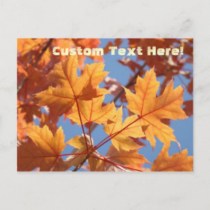 Cartes postales personnalisées avec texte sur la n