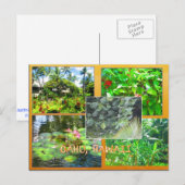 CARTES POSTALES PERSONNALISÉES - COLLAGE HAWAII# 1 (Devant / Derrière)