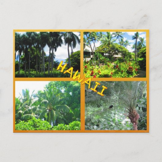 CARTES POSTALES PERSONNALISÉES - COLLAGE HAWAII# 2 (Devant)