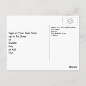 Cartes postales personnalisées de l'aigle et du dr (Dos)