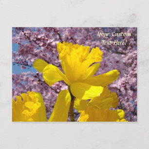 Cartes Postales Personnalisées Fleurs de Narcisse
