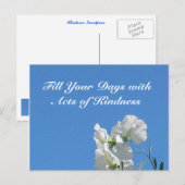 Cartes postales Petits pois de la gentillesse (Devant / Derrière)