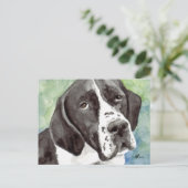 Cartes postales Pointer (Debout devant)