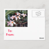 Cartes postales pour filles (Dos)