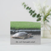 Cartes postales pour golfeurs (Debout devant)