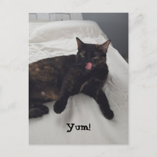 Cartes postales pour la langue du chat Tortoiseshe