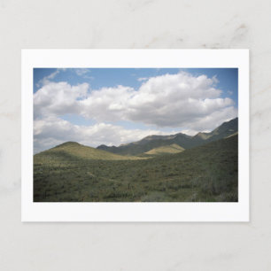 Cartes postales pour la photo du désert de Cowboy