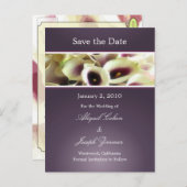 Cartes postales pour sauvegarder la date, callas v (Devant / Derrière)