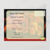 Cartes postales pour sauvegarder la date, lys call (Dos)