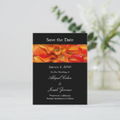 Cartes postales pour sauvegarder la date, lys call (Debout devant)