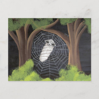 Cartes postales prises