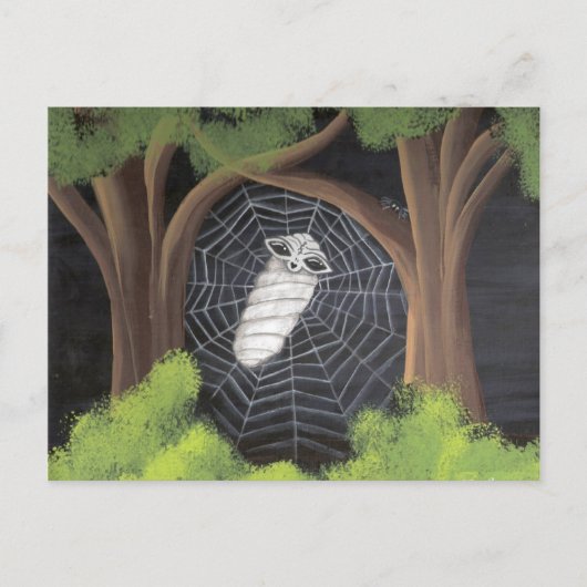 Cartes postales prises (Devant)