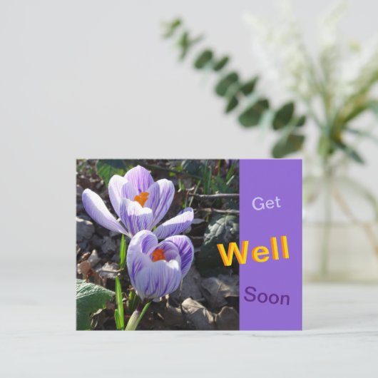 Cartes Postales Prochainement Des Crocus En Écarts (Debout devant)