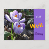 Cartes Postales Prochainement Des Crocus En Écarts (Devant)
