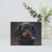 Cartes Postales Puppy Divers (Debout devant)