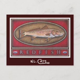 Cartes postales Redfish