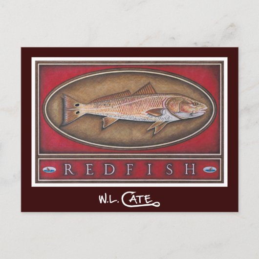 Cartes postales Redfish (Devant)